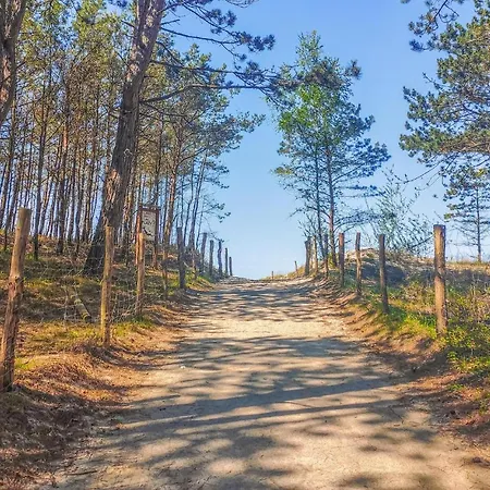 Cozy In With Kitchen Apartament Stegna (Pomerania)