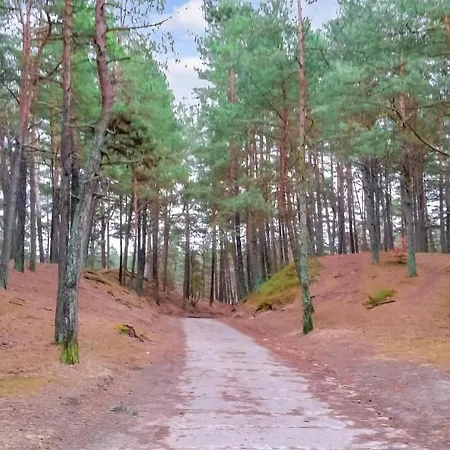 Cozy In With Kitchen Apartament *