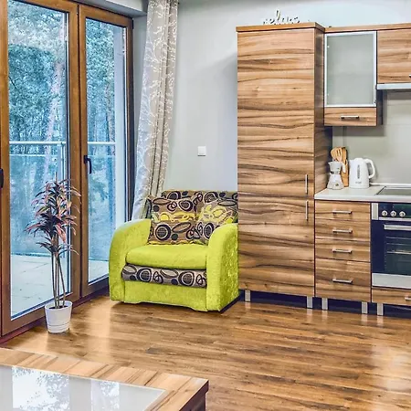 Cozy In With Kitchen Apartament *