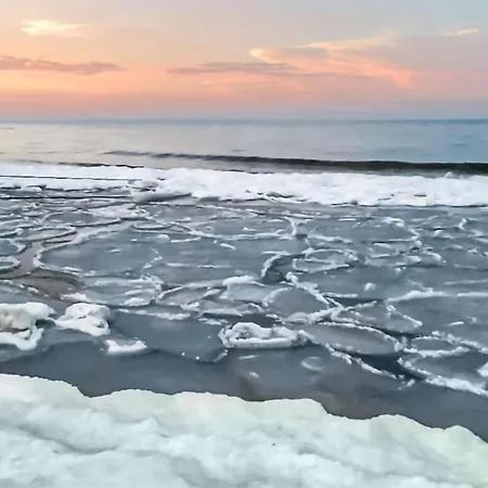Cozy In With Kitchen Apartment Stegna (Pomerania)