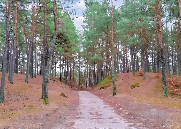 Cozy In With Kitchen Apartment *